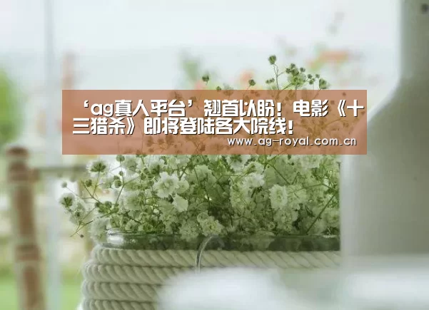 ‘ag真人平台’翘首以盼!电影《十三猎杀》即将登陆各大院线!(图4) ag真人厅下载